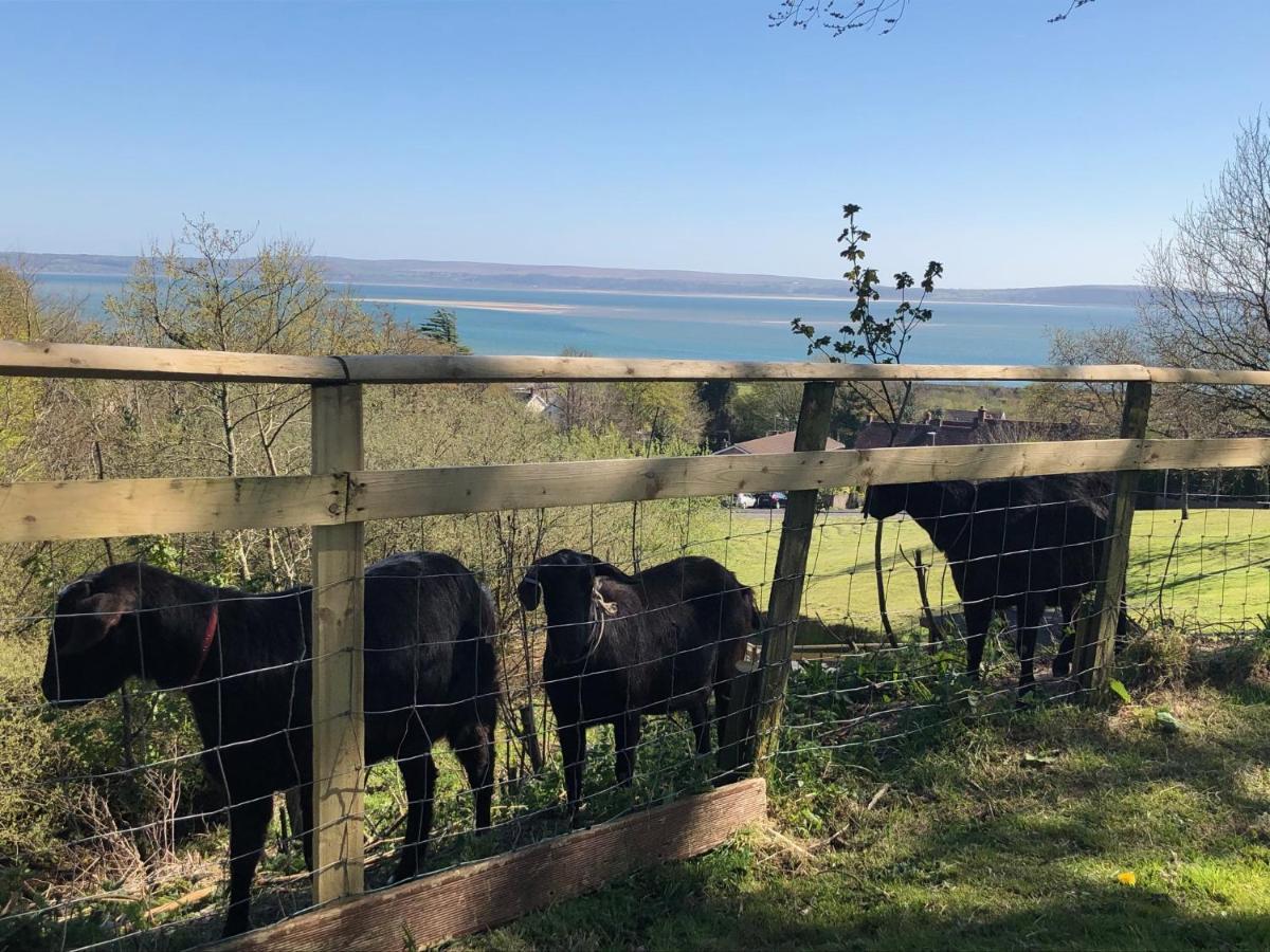 Bronllys Farm Coastal Self-Catering Apartment Llanelli Luaran gambar